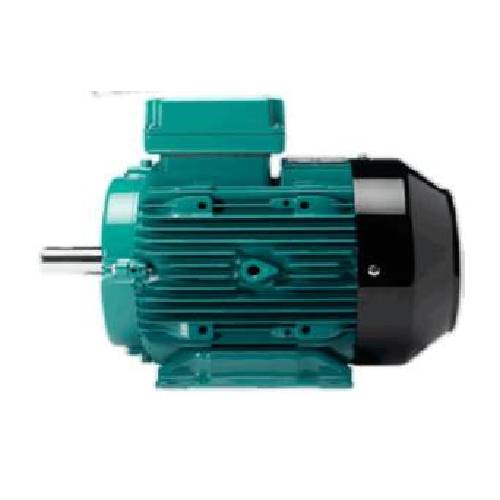 Industrial Motor